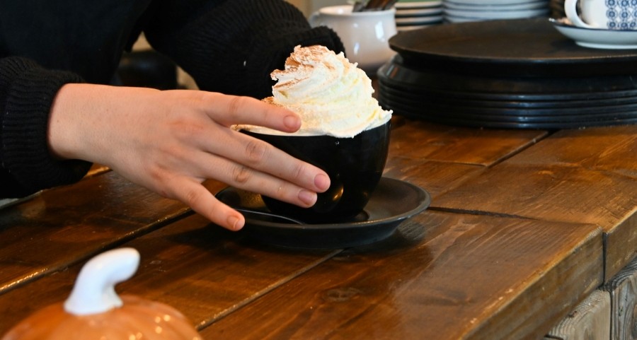 Zdrave potraviny - ingredience na dynove pyre a dynove latte Grizly