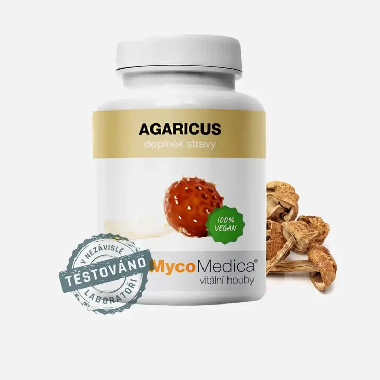 Agaricus 90 tablet 6 x 90 tablet