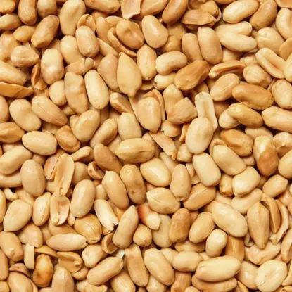 Arašídy pražené nesolené 6 x 500 g