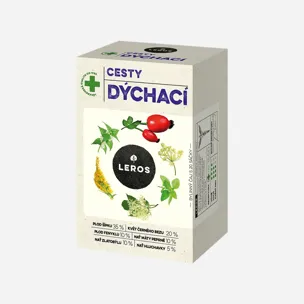 Cesty dýchací