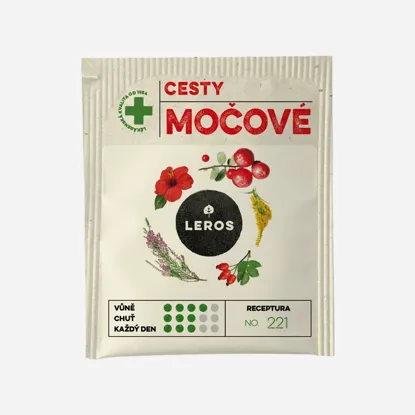 Cesty močové
