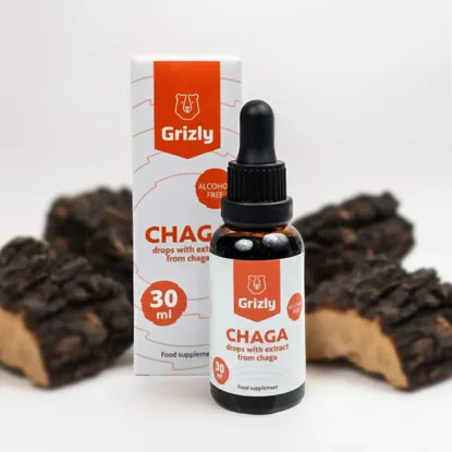 Chaga