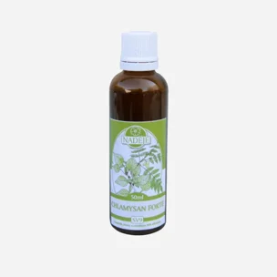 Chlamysan forte 6 x 50 ml