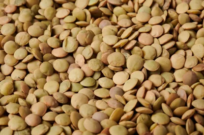 čočka drobnozrnná 6 x 500 g