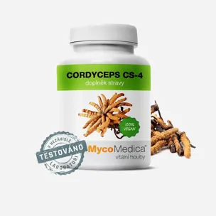 Cordyceps CS-4 6 x 90 tablet