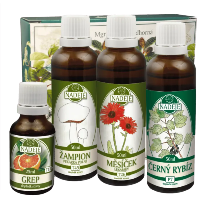Doplněk stravy ke zmírnění alergických projevů při dýchání 6 x 175 ml
