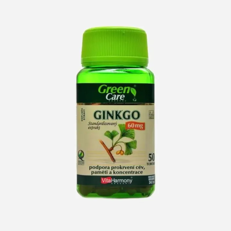 Ginkgo 60 mg 6 x 100 tablet