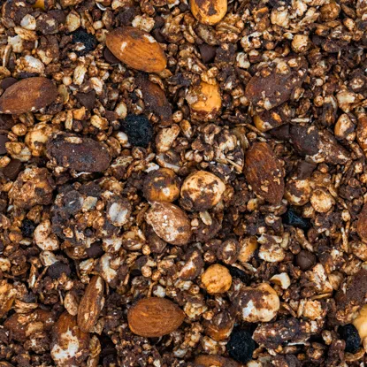 Granola hořká čokoláda s borůvkami 6 x 450 g