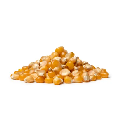 Kukuřice na popcorn 5 x 500 g