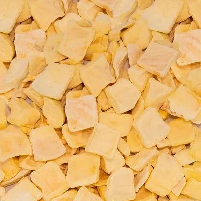 Mango lyofilizované