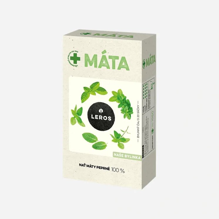 Máta