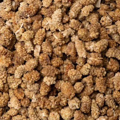 Moruše bílá BIO 6 x 500 g