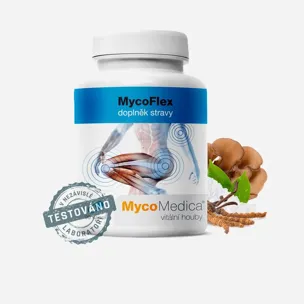 MycoFlex 90 tablet 6 x 90 tablet