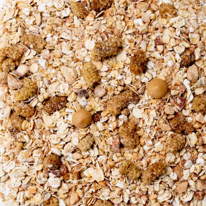 Ovesné kaše karamel & bílá moruše 6 x 600 g