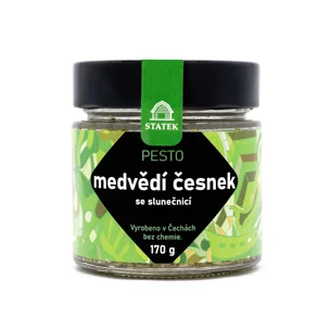 Pesto z medvědího česneku