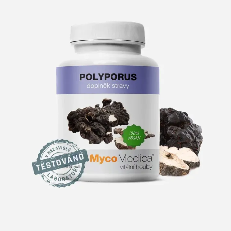 Polyporus 6 x 90 tablet