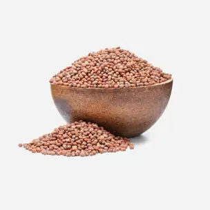 Ředkev BIO semínka na klíčení 6 x 250 g