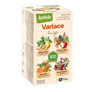 Variace čajů 4v1 BIO 6 x 20 sáčků